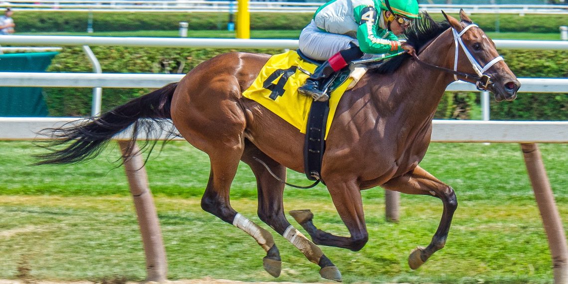 5 Tips For Successful Sports Betting