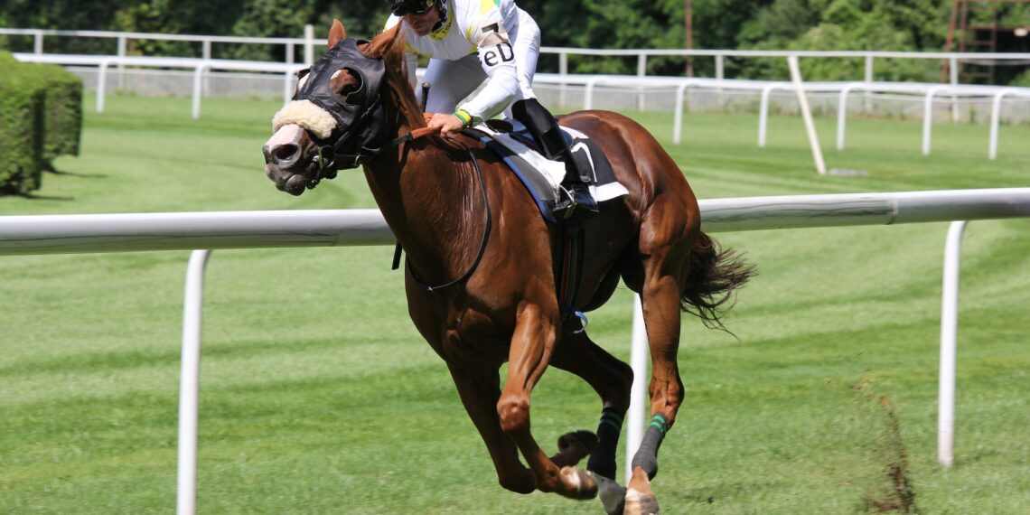 Motives for the Appeal of Horse Racing